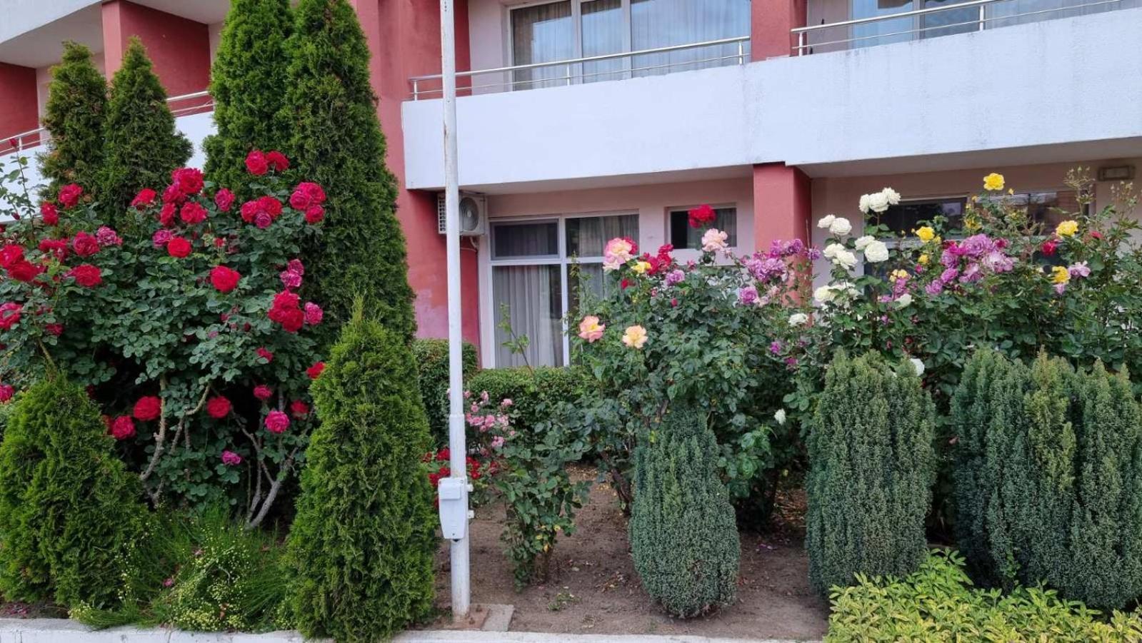 Luxurious Studios Nani Kranevo Dış mekan fotoğraf
