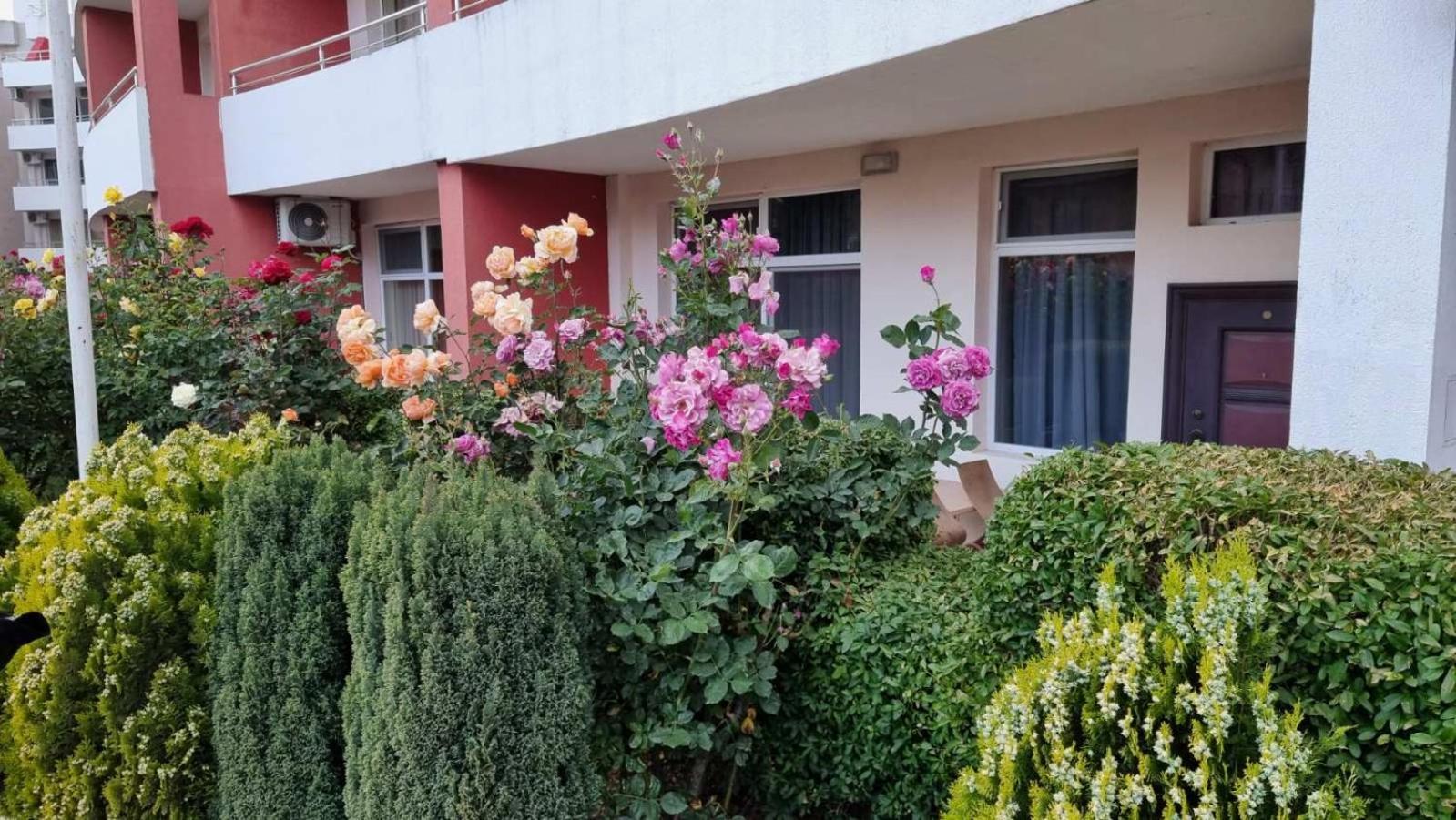 Luxurious Studios Nani Kranevo Dış mekan fotoğraf