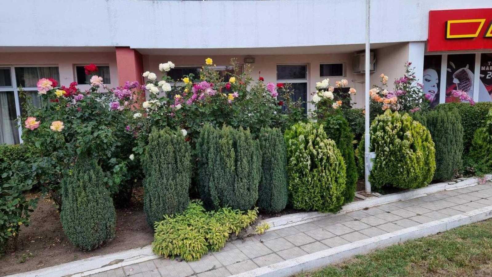 Luxurious Studios Nani Kranevo Dış mekan fotoğraf