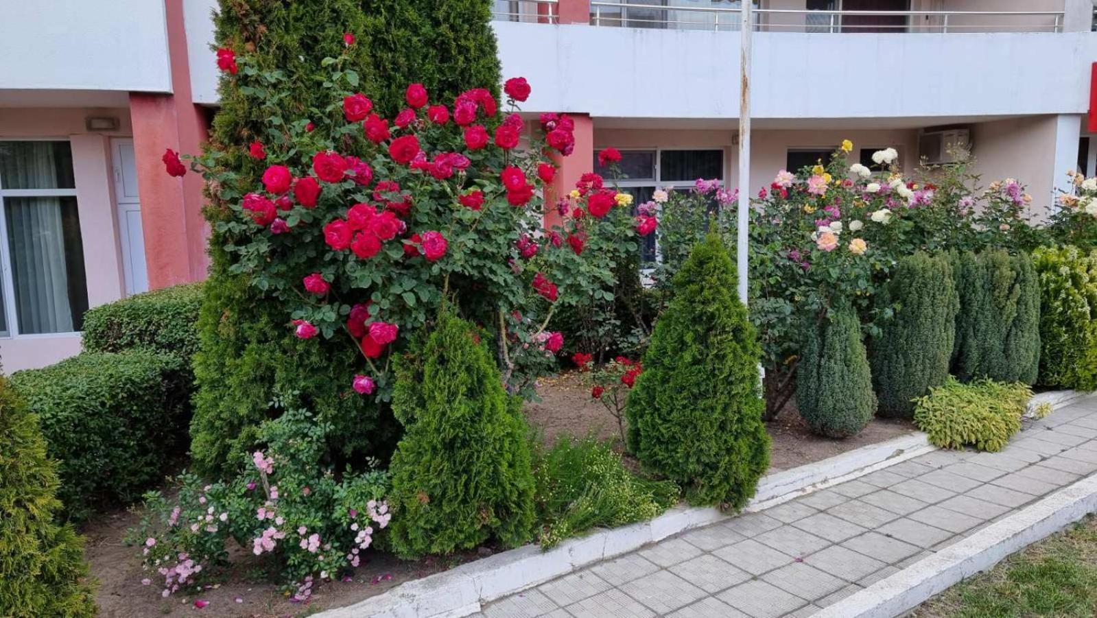 Luxurious Studios Nani Kranevo Dış mekan fotoğraf